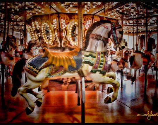 Carousel Alive and Well in Seattle